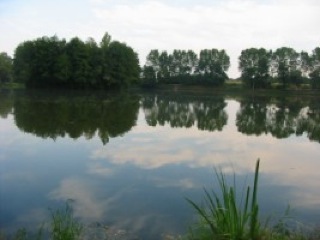 Etang à Saint-Etienne sur Chalaronne